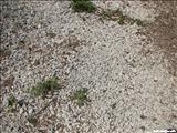 Playa Melones - CULEBRA